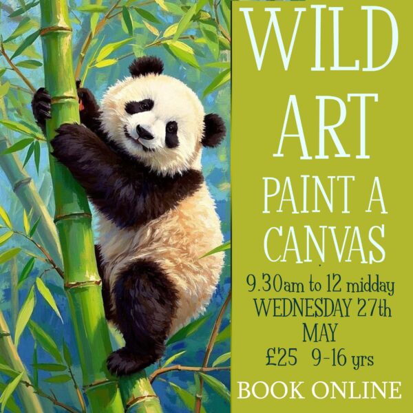 Wild Art